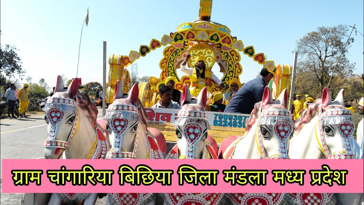 नौ दिवसीय गोंडी कोयापुनेम ll  पुनेमासार तिरु सीताराम बरकडे गुरु जी l चांगारिया बिछिया जिला मंडला 