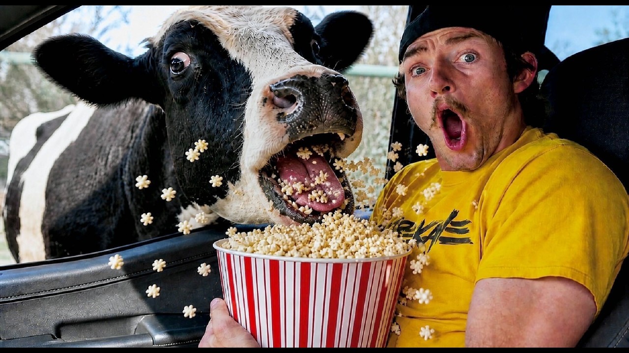 Dumbest Animals Caught On Camera