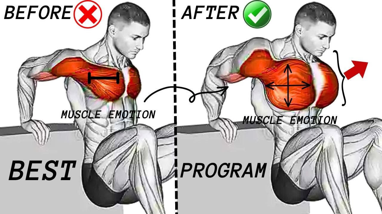 TOP 5 INNER ,LOWER AND UPPER CHEST WORKOUT AT GYM / Meilleurs exs ...