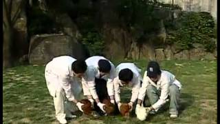 스펀지 - Sponge 20070519 #004