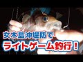 【香川県高松市】女木島沖堤防でライトゲーム！