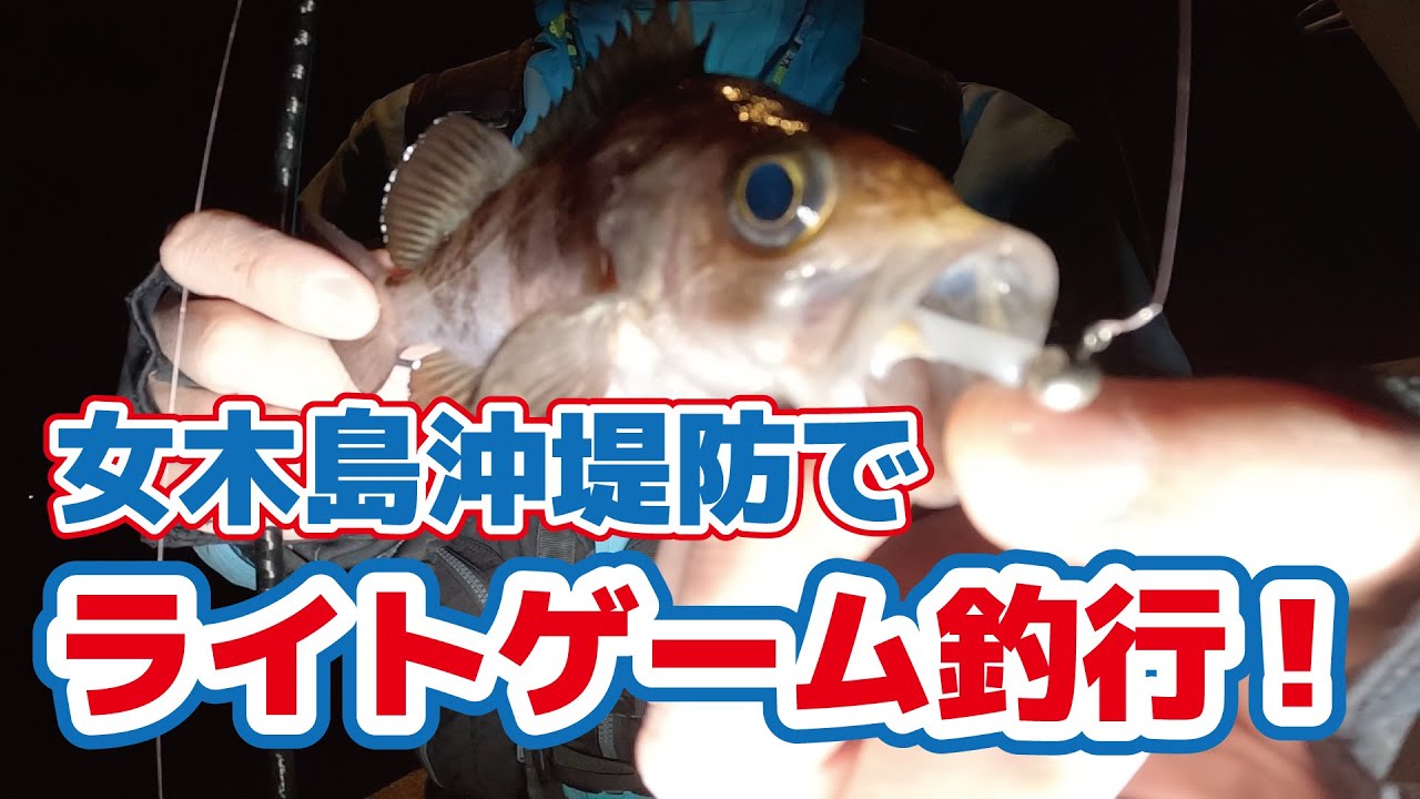 【香川県高松市】女木島沖堤防でライトゲーム！