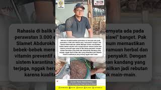 Spill Inovasi Telur Asin Jambal, Bisa Ngemil Sehat Tanpa Nasi #1034dfm #yayasandamandiri #telurasin
