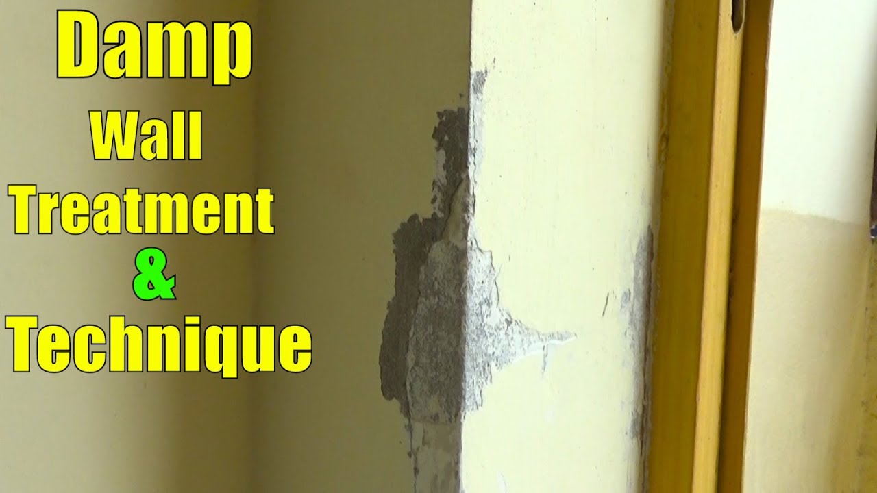 How to Treat Damp Walls Before Painting | Wall Painting Techniques