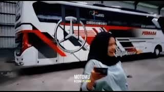 story wa widodari, versi bus persada..