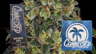 Connected Carts - Gelato 41