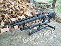 Gamo Phox Mk1 review-Big Dan's Airguns.