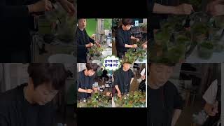 30년차 푸드스타일리스트의 말차 스타일링🍵💚🎨 #시즐의정석 #케이원스튜디오 #푸드스타일리스트김경미