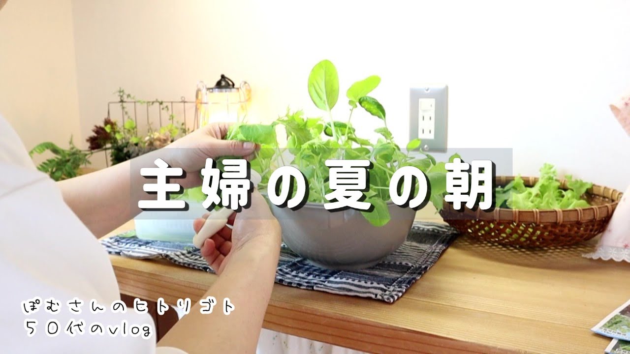 夏の朝の主婦時間。好きなことも嫌なことも涼しいうちに