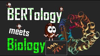 BERTology meets Biology | Solving biological problems with Transformers