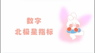 大白话讲数字北极星指标