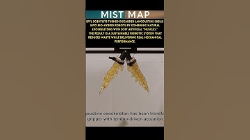 Scientists Turn Food Waste Into Robots 🤖🦞 | Bio-Hybrid Robotics