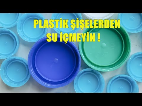 Video: Pet Farelerde Sağlık Sorunları