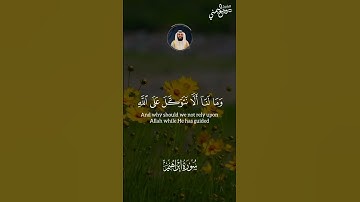 القارئ: وديع اليمني❤أرح سمعك❤حالات واتس آب❤