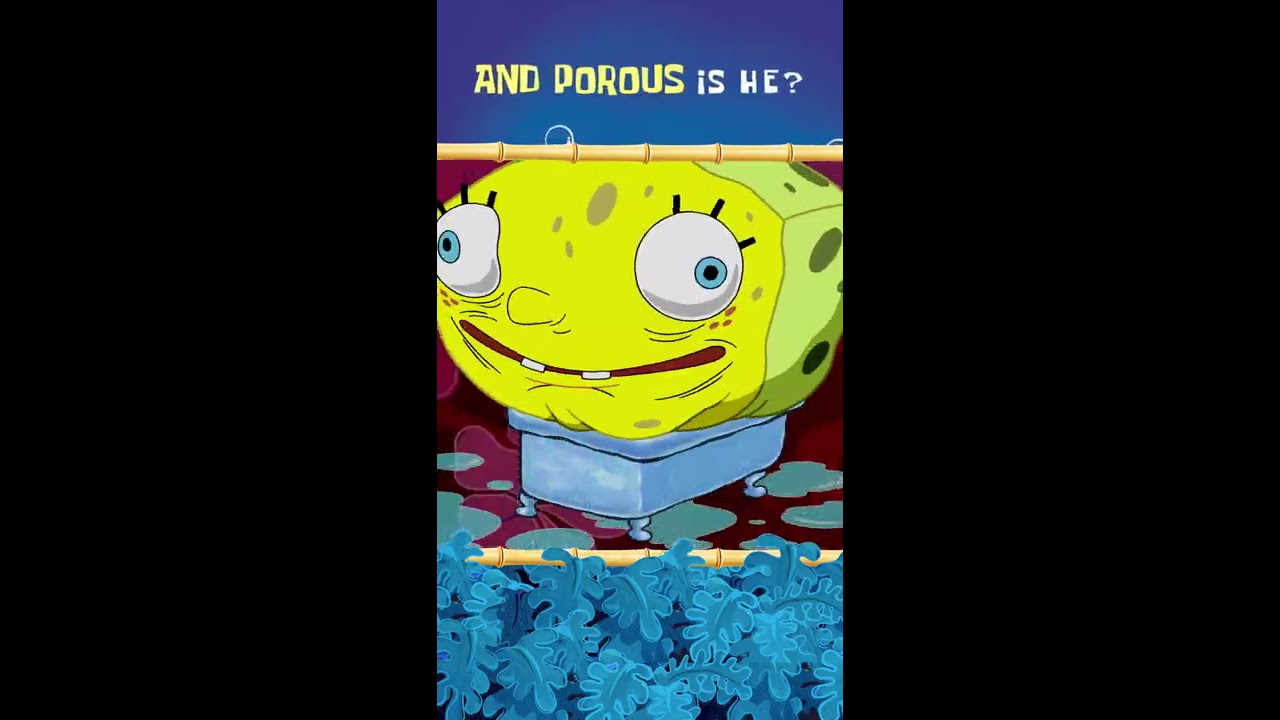 SpongeBob SquarePants Theme Song W Lyrics Nicktoons