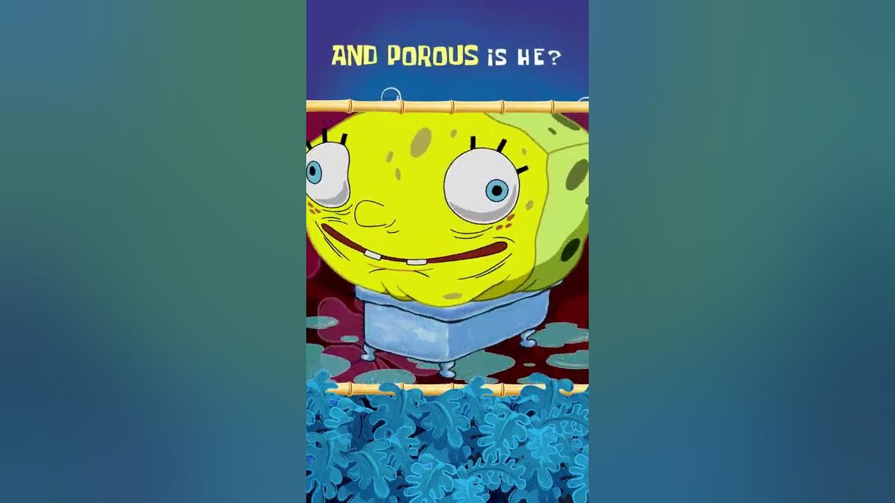 SpongeBob SquarePants Theme Song (w/ Lyrics) 🎶 | Nicktoons
