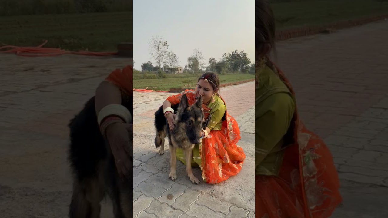 Rajasthani song 😍