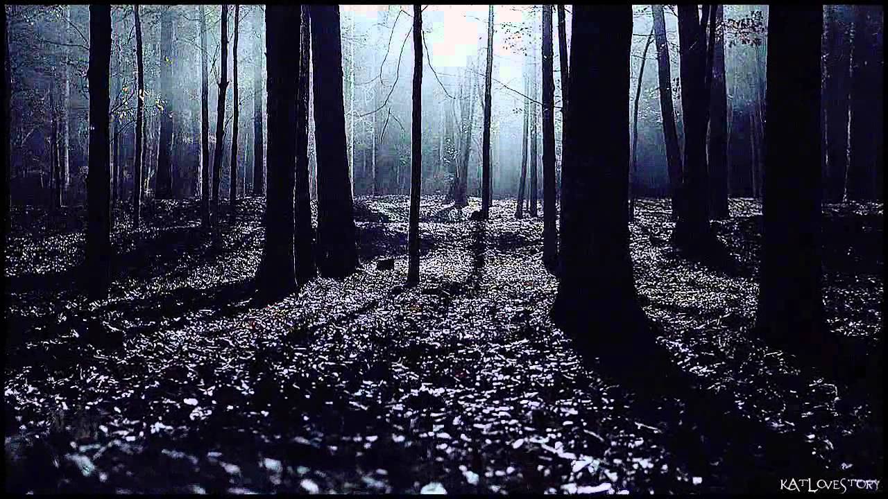 ►Teen Wolf | Lights