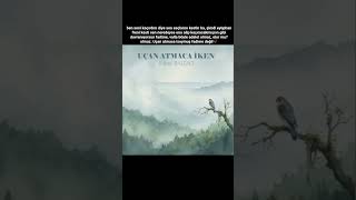 Bu Iso Kadar Bende Kırıldım 🥺Şacakbudeniz Şanlı Ilgan