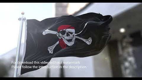 Pirate Flag flag with 3d effect blowing in the wind 3D Flag V2 long