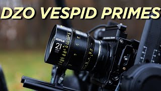 DZO Vespid Primes // Why these are my absolute favourite cinema lenses!