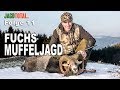 Muffeljagd - Fuchsjagd | JAGD TOTAL Folge 11