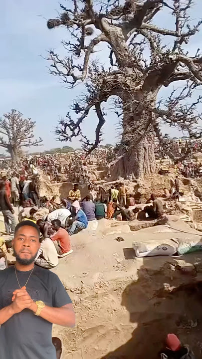 The blessed tree