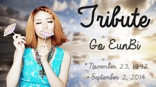 Tribute: EunB (Ladies Code) ♡