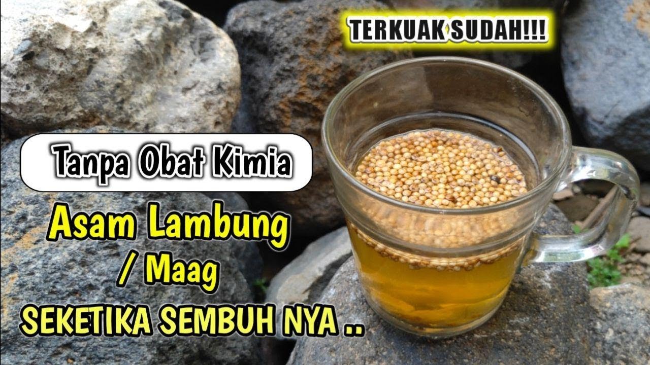 Cara Mengobati Asam Lambung Pada Rumah Alodokter