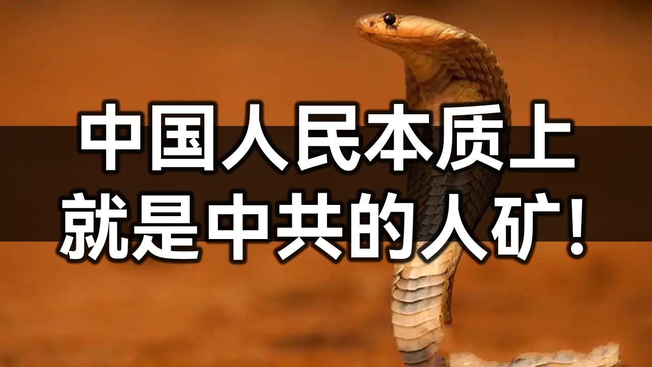 中国人民本质上就是中共的人矿!【知乎讨论:如何看待“人矿”这个词?】 - YouTube