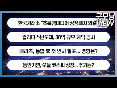   한국거래소 초록뱀미디어 상장폐지 의결 퀼리타스반도체 30억 규모 계약 공시 메리츠 통합 후 첫 인사 발표 굿모닝 VIEW 20231121