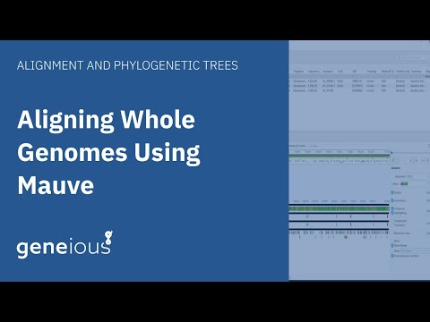 How to Align Whole Genomes Using Mauve in Geneious Prime
