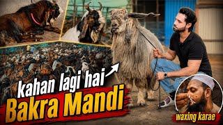 Finally Bakre aagae hai 😍| Kaha lagi hai Bakra Mandi? 😎 