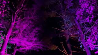 The JTree Void Rig, landed in the woods!