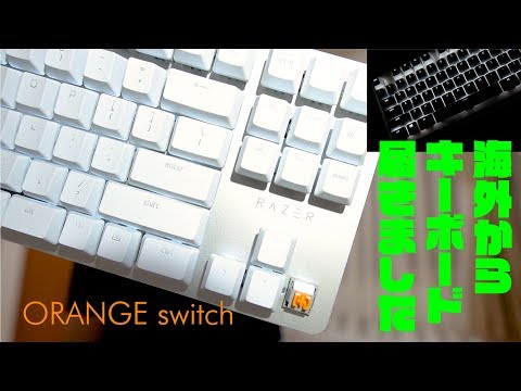 その他 Razer BlackWidow Lite JP Mercury White 618np8itjSL._AC_UF894,