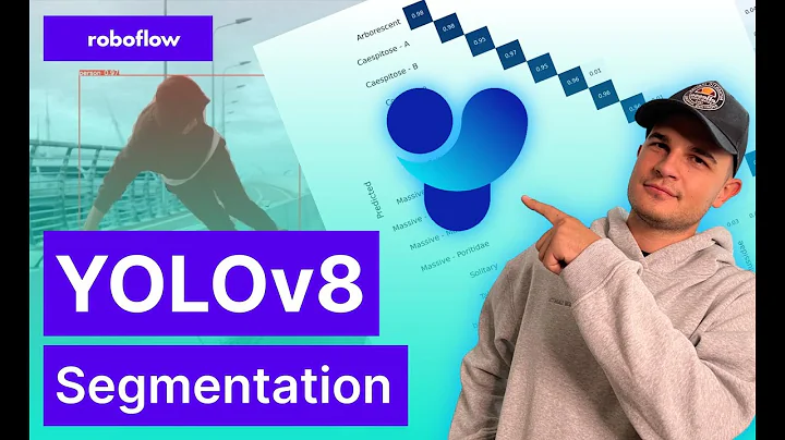 Instance Segmentation in 12 minutes with YOLOv8 and Python