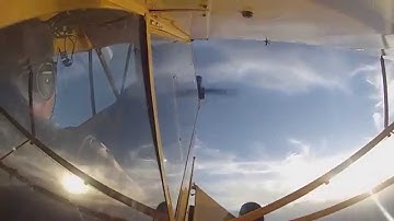 piper cub loops and wing overs