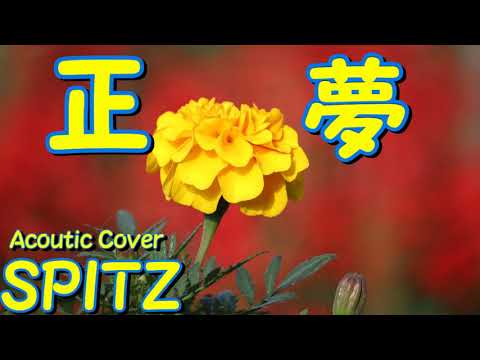 正夢 / スピッツ / 弾き語りカバー/ PROPHETIC DREAM / SPITZ / Acoustic Cover with VE2