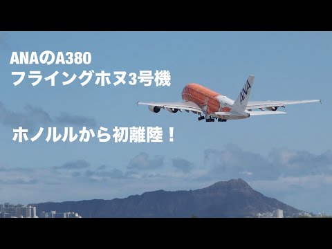 速報】ANAの「フライングホヌ」3号機がハワイ・ホノルルの空港から初