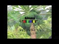 BASSESA X TRAP Instrumental Gasy 2022 VELONTEGNA By Brack On The Beat 
