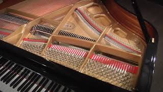 Kawai GL-10 5 Baby Grand Piano (F135063)
A high quality, late-model baby grand piano! Built in 2018. Save thousands off the comparable new piano. Why buy new?
Buy now at https://cpno.us/xpf6
Nationwide Delivery: Our specialty, safe and affordable.
Financing available.
Caruso Piano Gallery
New Englands Piano Destination :: Since 1929.
Meet the Team :: http://youtu.be/6cEIzesm-5I
http://carusopianos.com
800-264-6614
info@carusopianos.com Kawai GL-10 5 Baby Grand Piano (F135063)