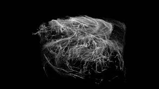 PointCloud 1