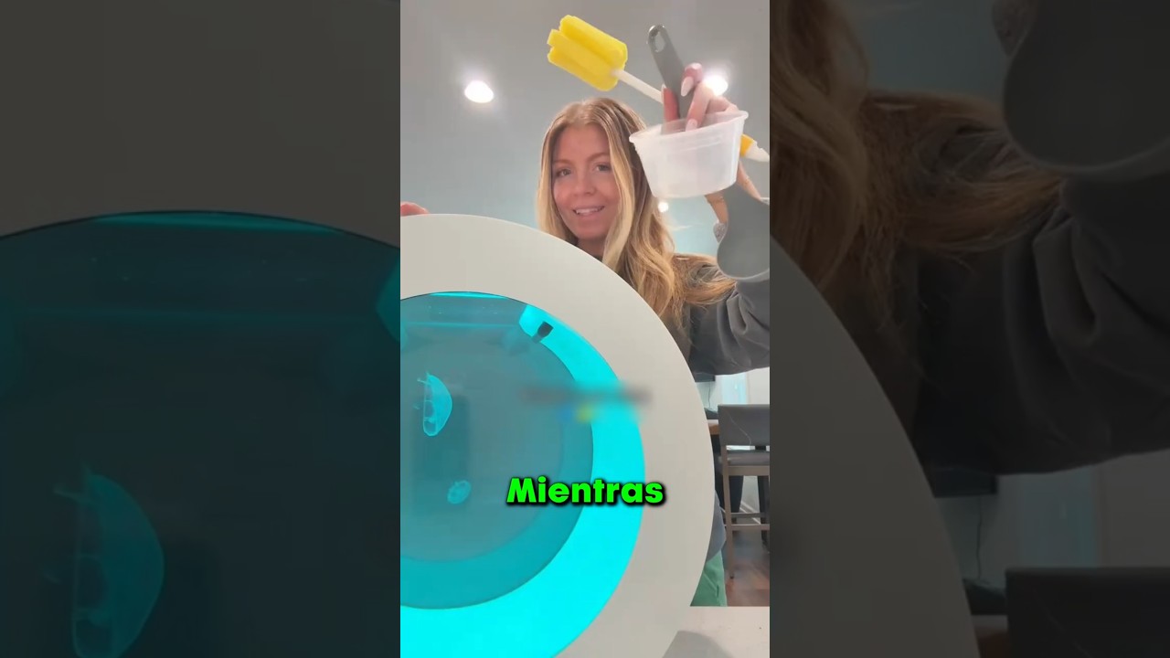 ASÍ SE LIMPIA UN TANQUE DE MEDUSAS!! 😯