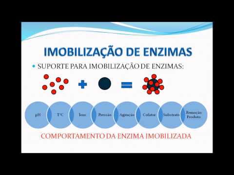 Vídeo: O que se entende por imobilização de enzima?