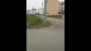 Baş Açıp Şad Oluf Gülen Öğünsün