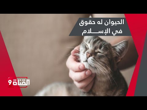 الحيوان له حقوق في الإسلام
