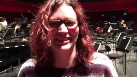 Dusty Strings Harp Pick Up Installation