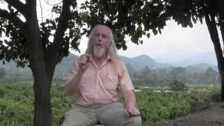 Journey to yourself - Part 8; Internal & Organ resonances