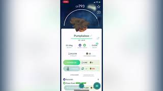 Pokémon Go - Wild Super Size Pumpkaboo Caught