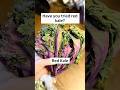 Have You Tried Red Kale? | Trying New Foods Series